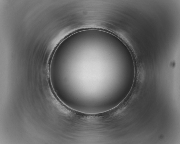 X0000114201380200910231333