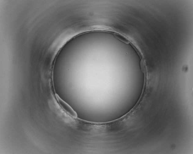 X0000114201381200910231333