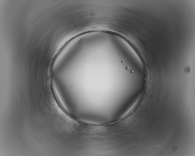 X0000114201382200910231333