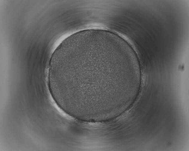 X0000114201383200910231333