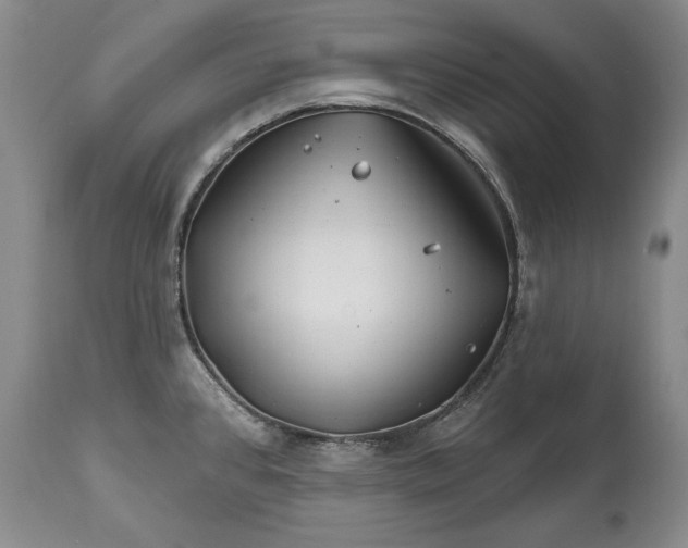 X0000114201384200910231333