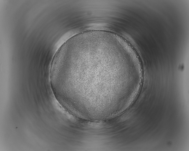 X0000114201386200910231333