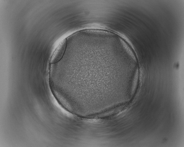 X0000114201387200910231333