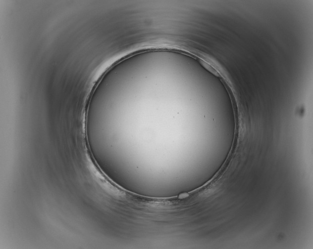 X0000114201388200910231333