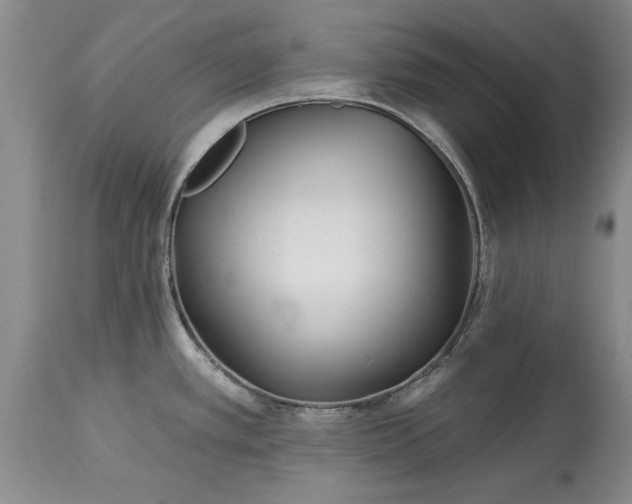 X0000114201389200910231333