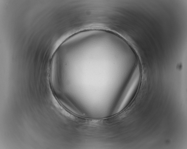 X0000114201390200910231333