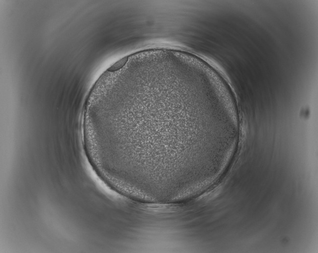 X0000114201391200910231333