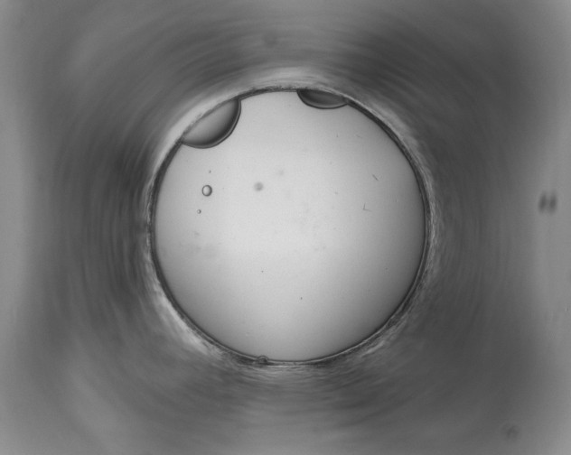 X0000114201392200910231333