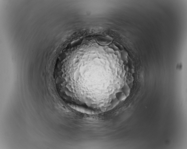 X0000114201393200910231333