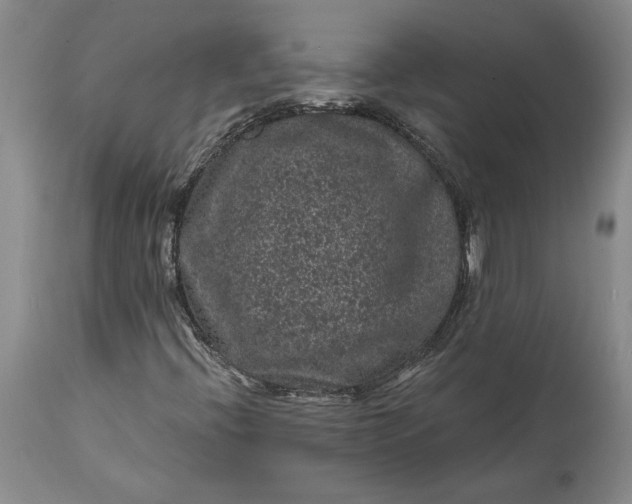 X0000114201396200910231333