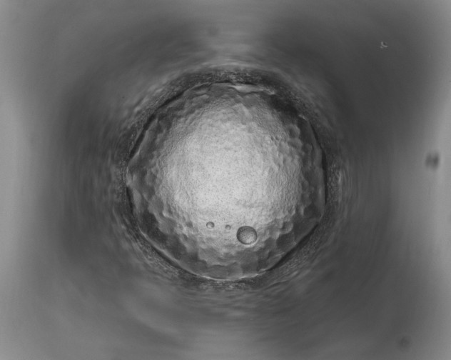 X0000114201397200910231333