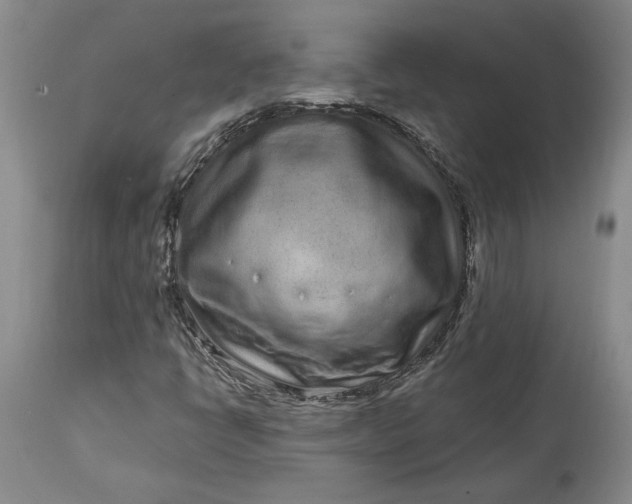 X0000114201398200910231333