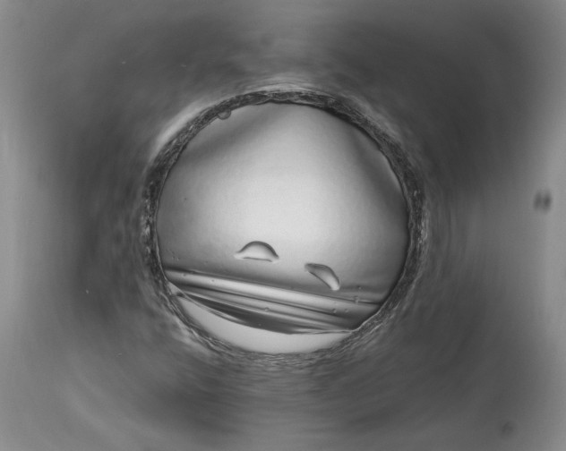 X0000114201400200910231333