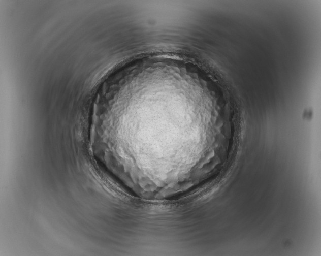 X0000114201401200910231333