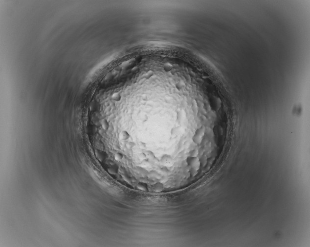 X0000114201403200910231333