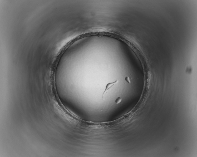 X0000114201404200910231333