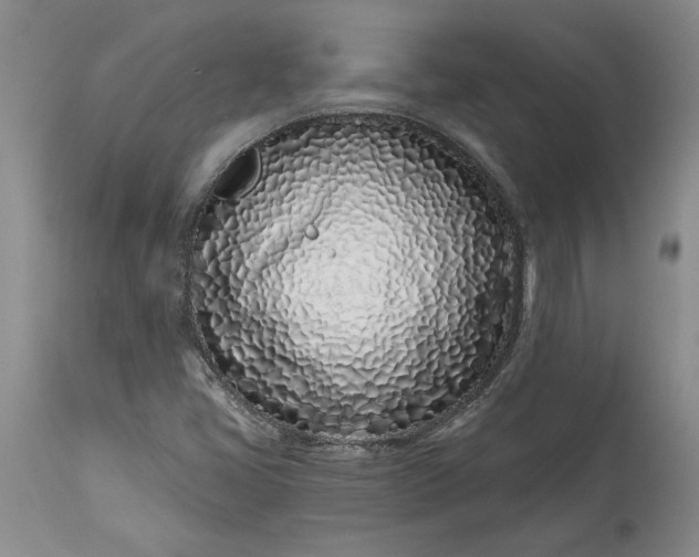 X0000114201405200910231333