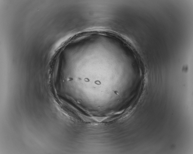 X0000114201406200910231333