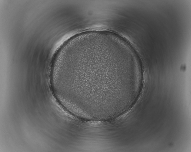 X0000114201410200910231333