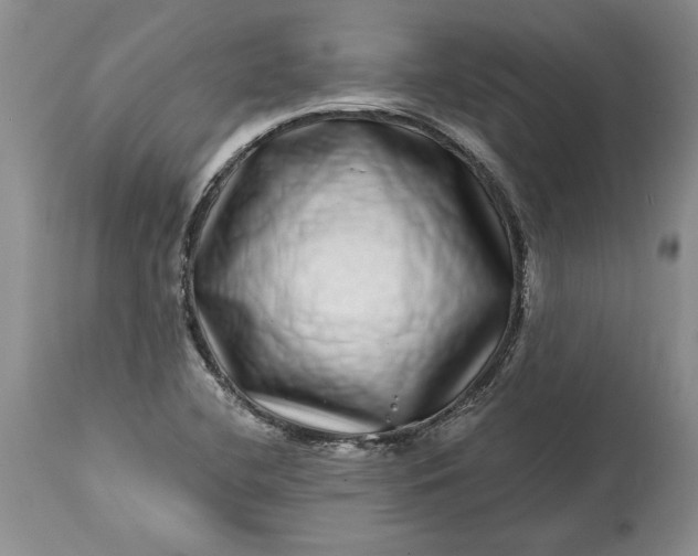 X0000114201412200910231333