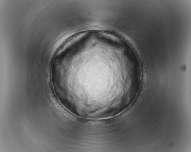 X0000114201415200910231333