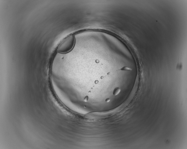 X0000114201416200910231333