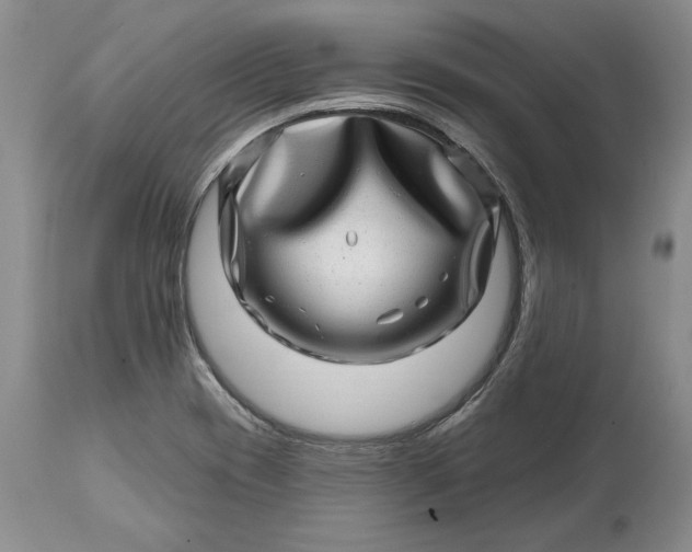 X0000114201417200910231333