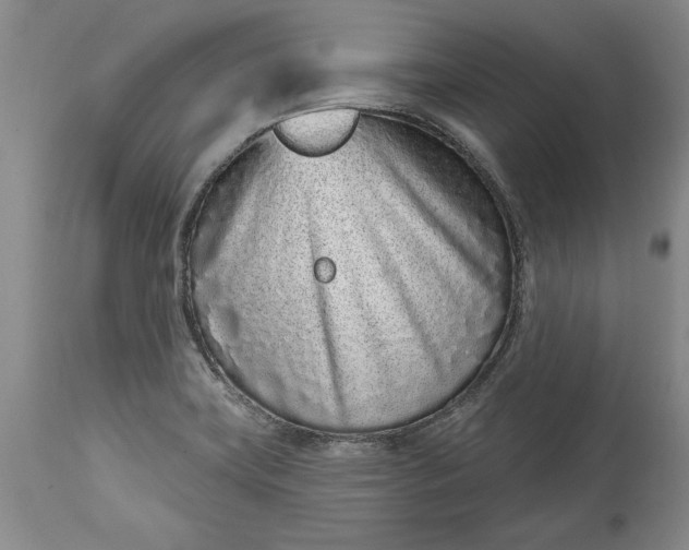 X0000114201419200910231333