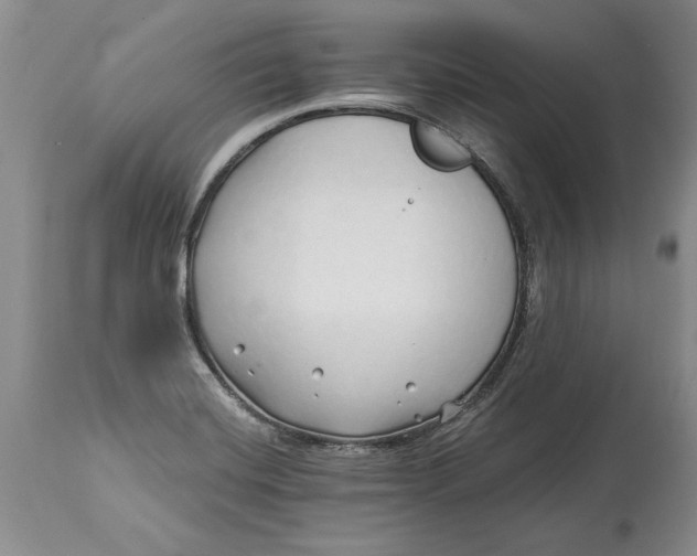 X0000114201420200910231333