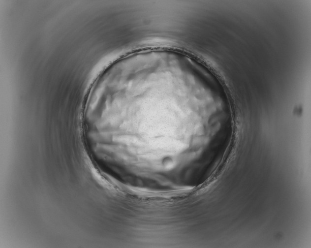 X0000114201421200910231333