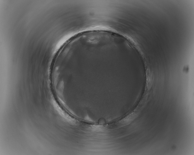 X0000114201422200910231333