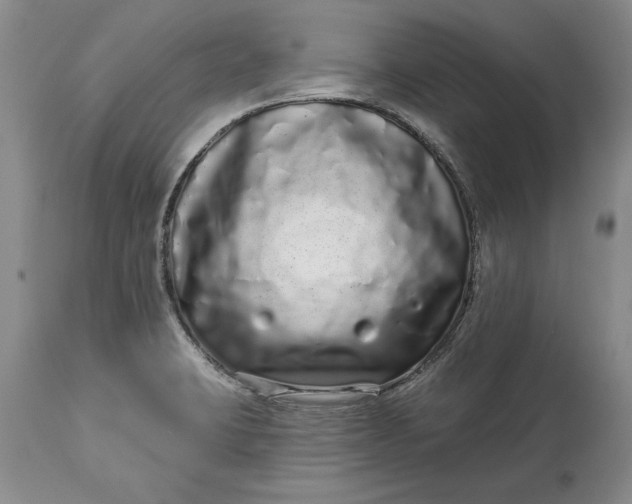 X0000114201423200910231333