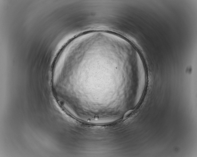 X0000114201424200910231333