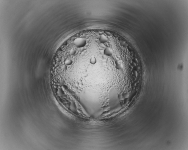 X0000114201425200910231333