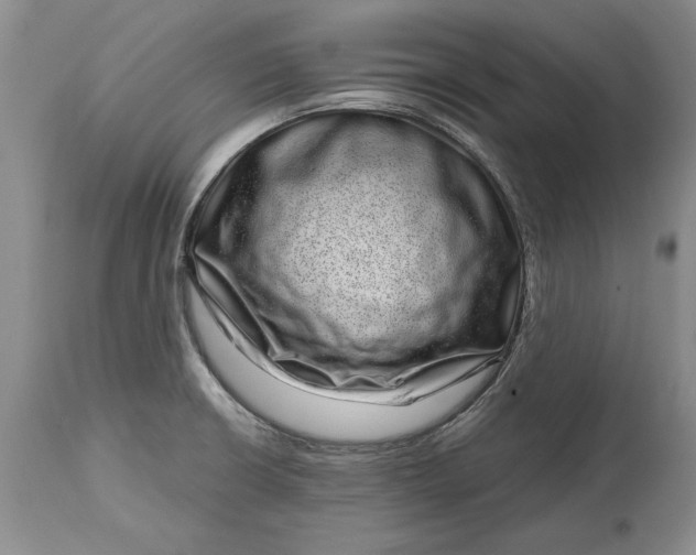 X0000114201426200910231333