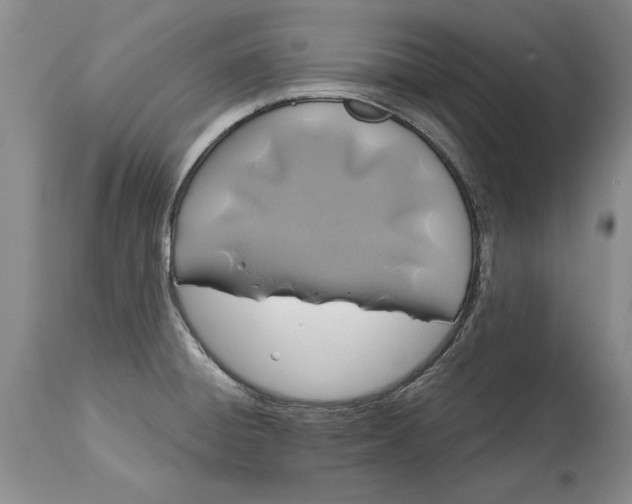 X0000114201428200910231333