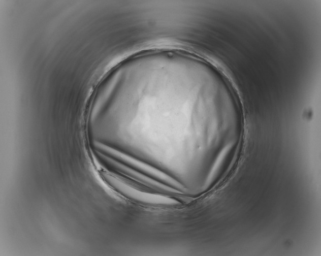 X0000114201429200910231333