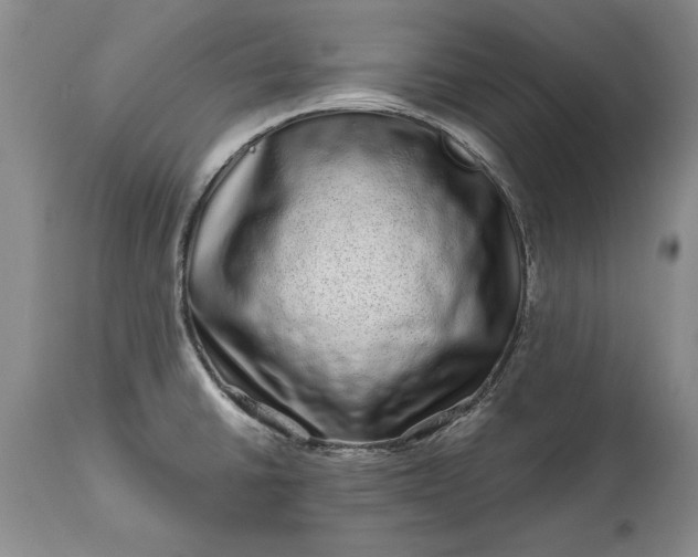 X0000114201430200910231333