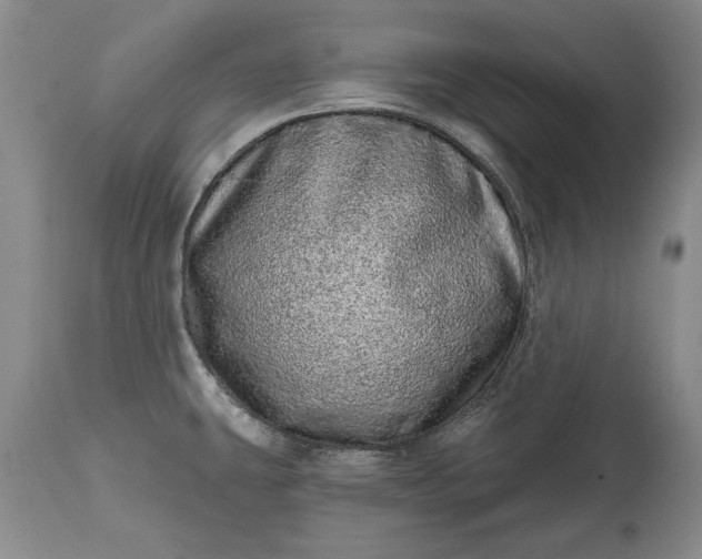 X0000114201431200910231333