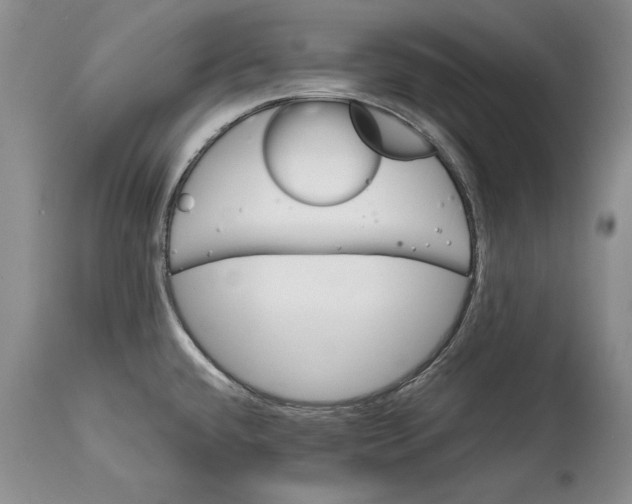 X0000114201432200910231333