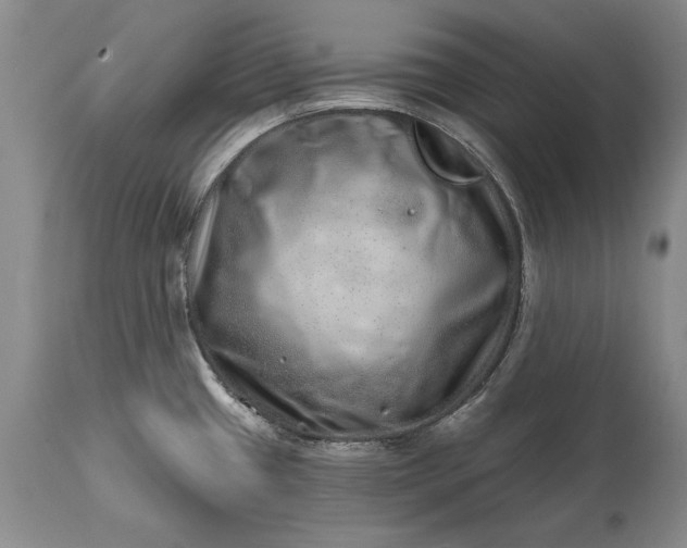 X0000114201433200910231333