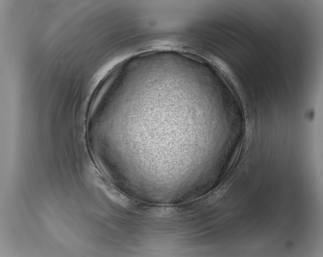 X0000114201435200910231333