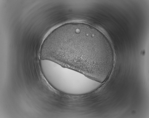 X0000114201436200910231333