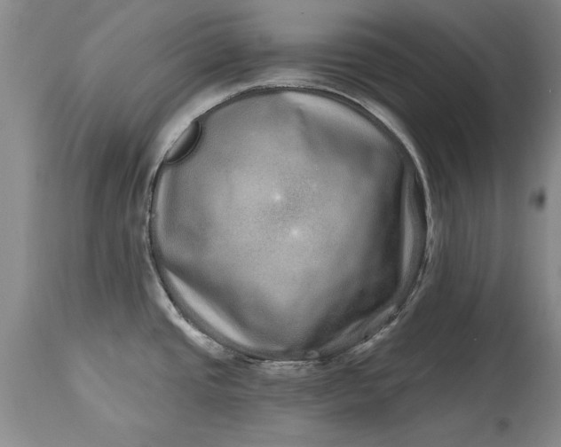 X0000114201437200910231333