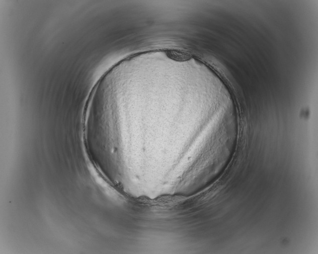 X0000114201439200910231333