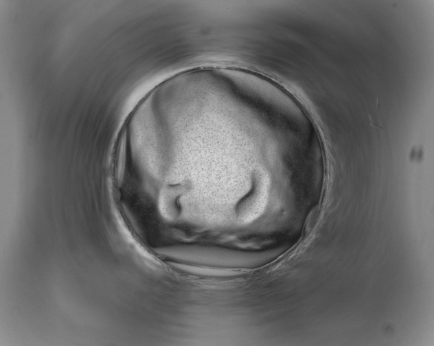 X0000114201440200910231333