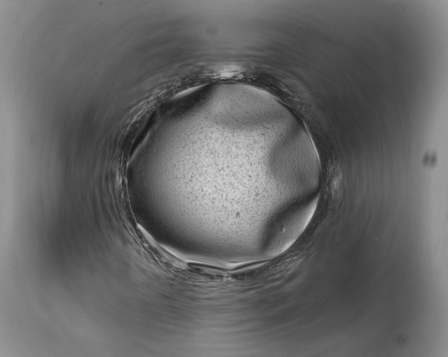 X0000114201442200910231333