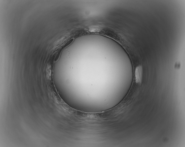 X0000114201443200910231333