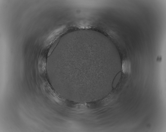 X0000114201444200910231333