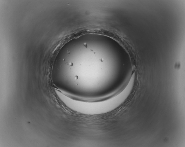 X0000114201445200910231333